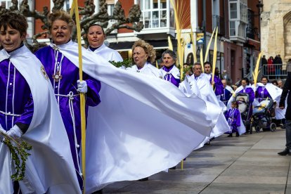Imagen de la procesión de la Borriquilla durante el Domingo de Ramos de la Semana Santa de 2026 en Burgos.