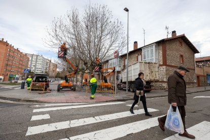 Labores de poda entre la calle Juan de Garay y la calle San Julián en Burgos.