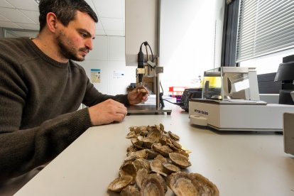 Asier García Escárzaga.