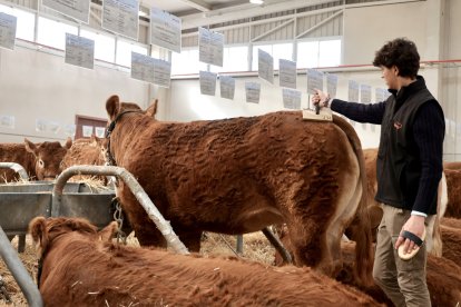 El presidente de la Diputación de Salamanca, Javier Iglesias, inaugura la feria Bovinum 2026.