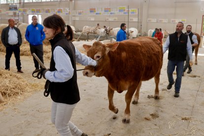 El presidente de la Diputación de Salamanca, Javier Iglesias, inaugura la feria Bovinum 2026.