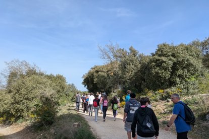 Imágenes de la jornada Limpiemos la Sierra que se celebra desde el año 2003 en el entorno de los yacimientos de Atapuerca.