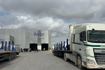 Ávita Factory