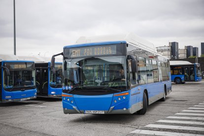 Los buses se han rotulado con el mensaje 'Madrid con Burgos'.
