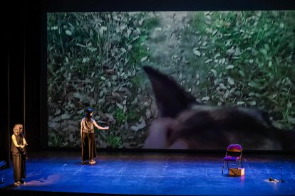 Imágenes de la representación en el Teatro Principal de Miscelánea, una pieza sencilla pero profunda donde Estrella R. aborda aspectos de la salud mental y el afrontamiento del dolor, la duda y el miedo ante la incertidumbre.
