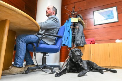Rubén Martínez, director de la ONCE en Burgos, junto a su perro, Korky