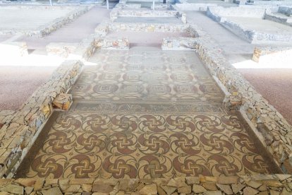 Detalle de los mosaicos del yacimiento de la Villa Romana de la Calzadilla en el Museo de las Villas Romanas de Almenara – Puras