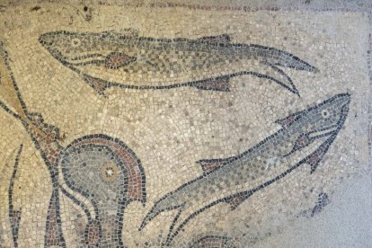Detalle de uno de los mosaicos del yacimiento de la Villa Romana de la Calzadilla en el Museo de las Villas Romanas de Almenara – Puras