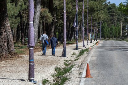 Así están avanzando las obras, como se ve en estas imágenes.