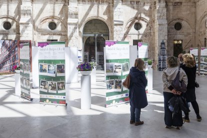 Imagen de la exposición 30 años de Programas de Formación y Empleo.