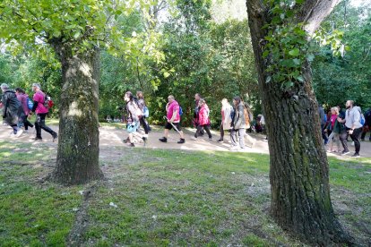 49ª Marcha Asprona