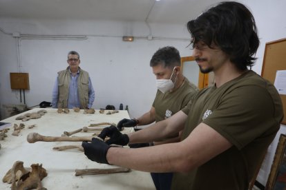 Parte del equipo internacional de arqueólogos y estudiantes trabaja para desentrañar los secretos de cientos de personas enterradas allí entre los siglos XII y XV, al fondo el arqueólogo Arturo Balado
