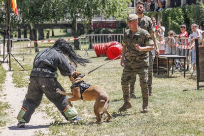 Día de las Fuerzas Armadas 2026 en Burgos.
