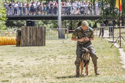 Día de las Fuerzas Armadas 2026 en Burgos.