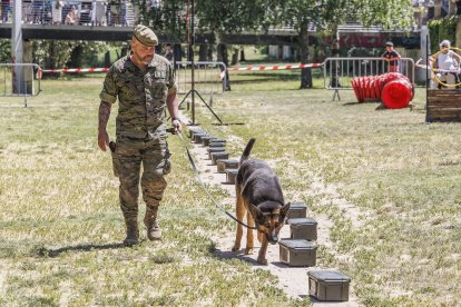 Día de las Fuerzas Armadas 2026 en Burgos.