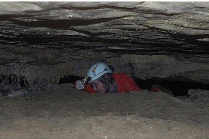 El acceso es complicado, a través de una estrecha gatera de 19 metros, da acceso a la sala posterior de hasta 20 metros de altura.