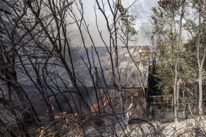 Imagen del incendio.