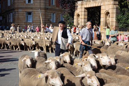 Paso de la Trashumancia por la capital soriana