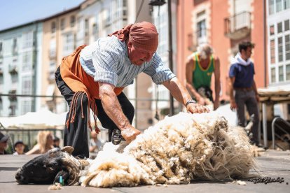 La Sociedad Gastronómica de Los Cucos celebra una nueva edición del Esquileo con fuerza renovada en su 50 aniversario.