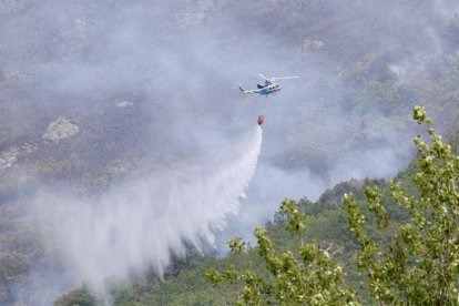 Declarado de nivel 1 un incendio forestal originado esta madrugada en Valdepiélago (León)