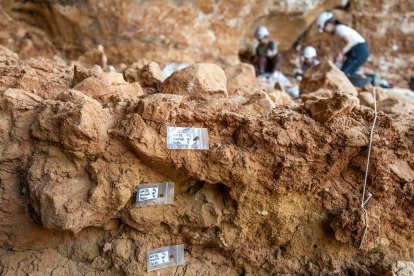 Galería es un yacimiento de 40 metros cuadrados y se excava un nivel datado en 300.000 años de antigüedad.