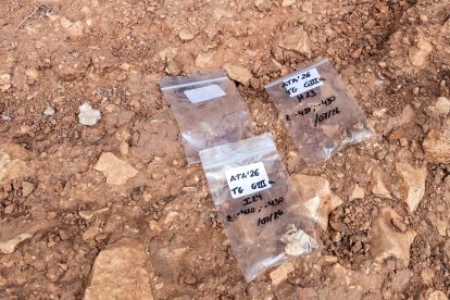 Galería es un yacimiento de 40 metros cuadrados y se excava un nivel datado en 300.000 años de antigüedad.