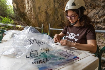 Trabajos de cribado, recolección y excavación en las dos áreas de excavación de Mirador.
