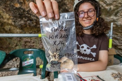 Trabajos de cribado, recolección y excavación en las dos áreas de excavación de Mirador.