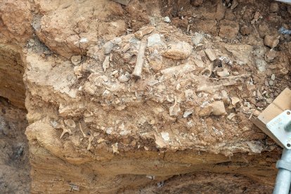 Trabajos que se realizan esta campaña en la mitad del yacimiento de Cueva Fantasma.
