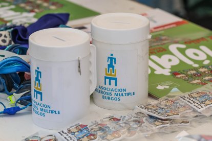 Instante de la jornada 'Mójate por la esclerosis múltiple' desarrollada hoy en las piscinas municipales de El Plantío.