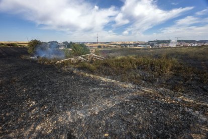 Imagen del incendio junto a la carretera de  Arcos.