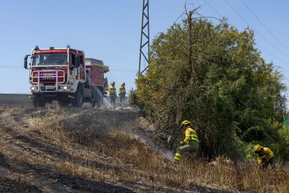 Imagen del incendio junto a la carretera de  Arcos.