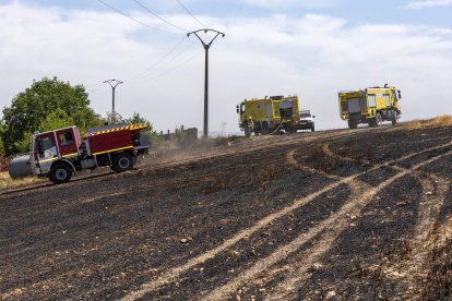 Imagen del incendio junto a la carretera de  Arcos.