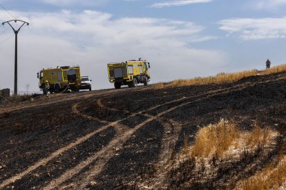 Imagen del incendio junto a la carretera de  Arcos.