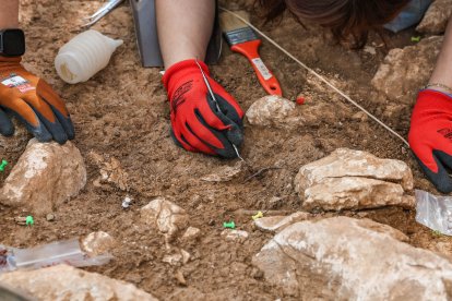 Equipo de unas 15 personas que trabajan en Estatuas que tiene dos zonas de excavacin en el exterior y dentro de la cueva.