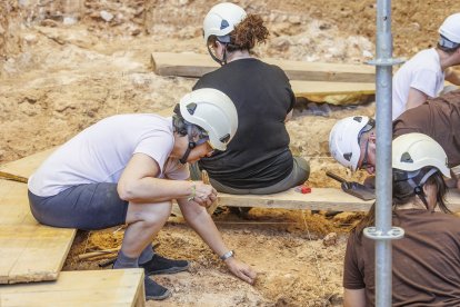 Trabajo del equipo de 12 científicos de diversas disciplinas y tres generaciones que tratan de descubrir los secretos de Homo antecessor.