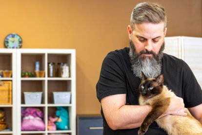 Cafelinos, el primer café con gatos de Burgos y uno de los pocos que hay en España.
