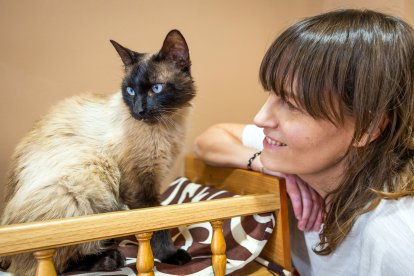 Cafelinos, el primer café con gatos de Burgos y uno de los pocos que hay en España.
