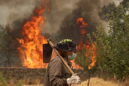 Incendio en la provincia de Ávila.