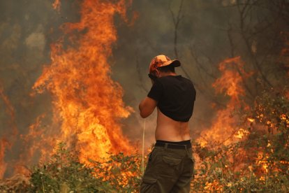 Incendio en la provincia de Ávila
