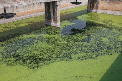 Un momento de la visita a la depuradora de Burgos para conocer los detalles del tanque de tormentas.