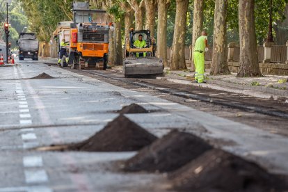 Un instante del desarrollo de los trabajos que se han concentrado en la avenida Arlanzón.