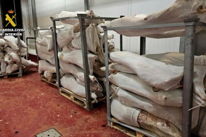 Imagen de la carne almacenada.