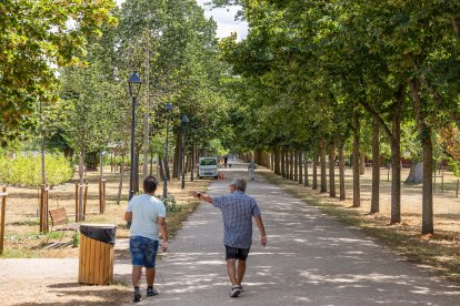 Estado de diversos ejemplares de El Parral.
