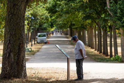 Estado de diversos ejemplares de El Parral.