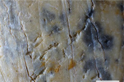 Imagen de marcas en las herramientas de hueso utilizadas para retocar los cuchillos de piedra neandertal.