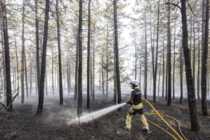 Imagen de las labores de extinción del fuego.