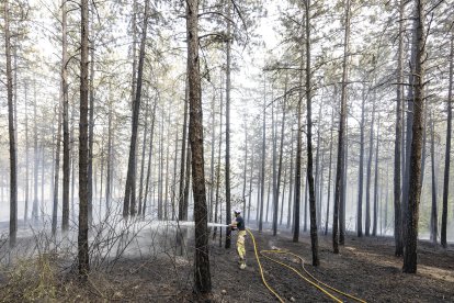 Imagen de las labores de extinción del fuego.