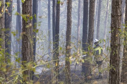 Imagen de las labores de extinción del fuego.