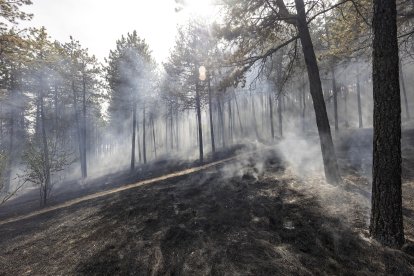 Imagen de las labores de extinción del fuego.